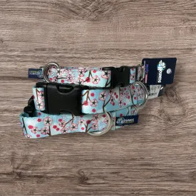 Cherry Blossoms Dog Collars and/or Leash