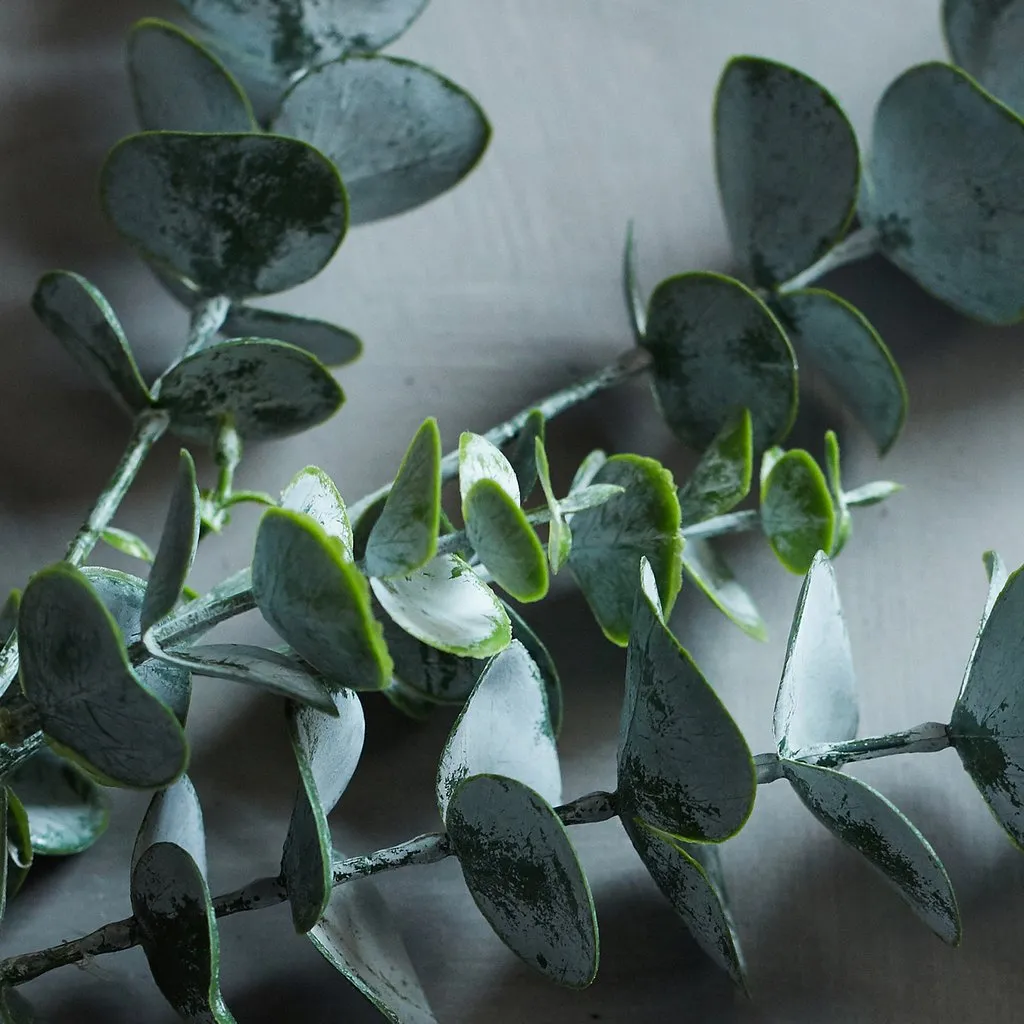 Faux Eucalyptus Sage