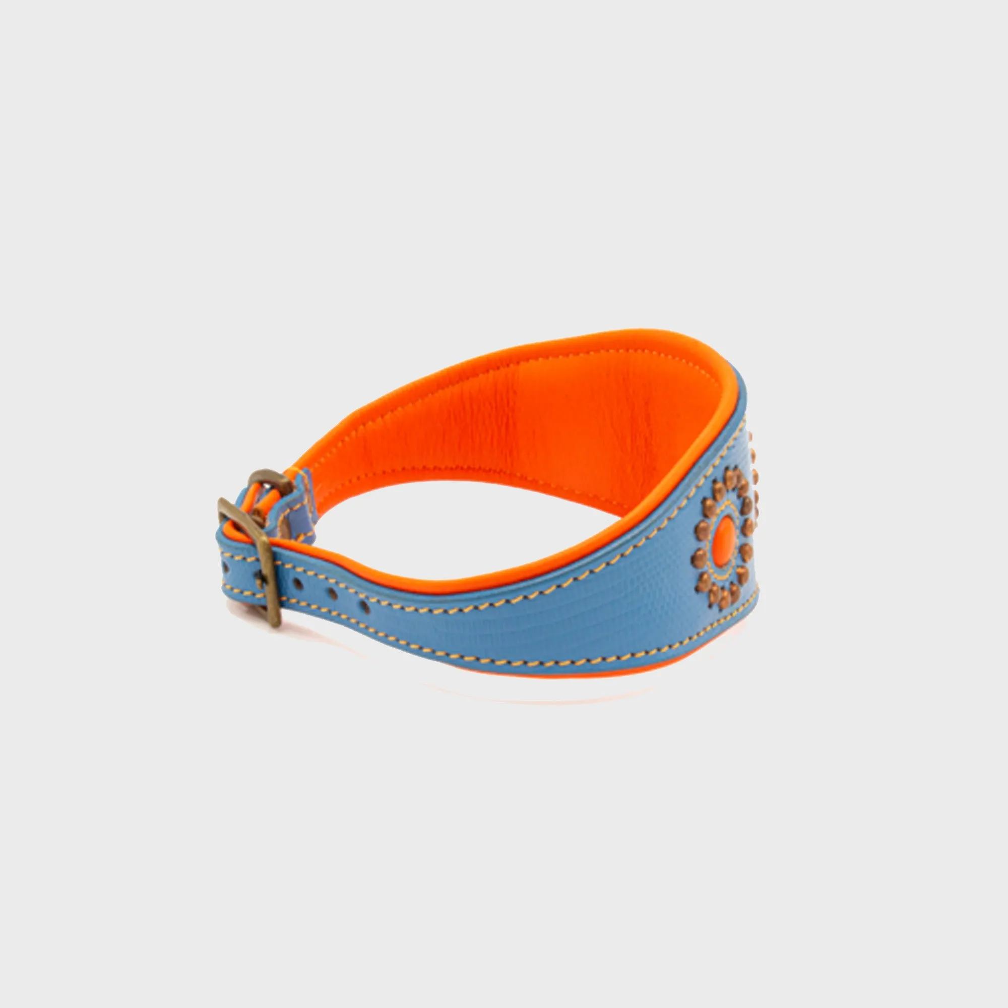 Jones Greyhound Collar - Dog with a Mission